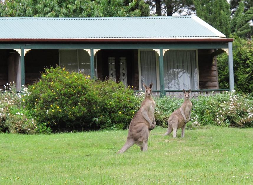 Mount Irvine NSW Accommodation Mount Tamborine