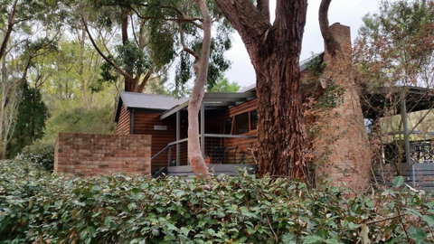 Cedarwood Holiday Park - Accommodation Mount Tamborine 3