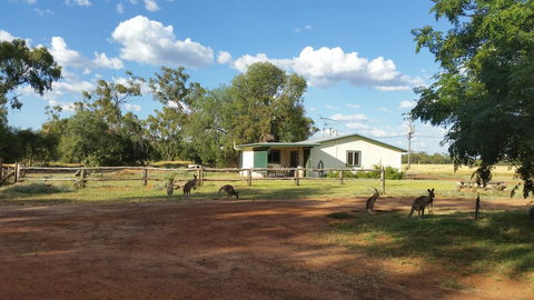 Charleville Bush Cottage - Accommodation Mount Tamborine 1