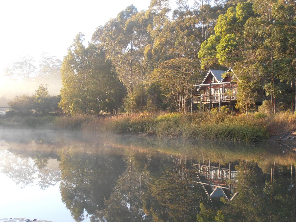 Ballard QLD Accommodation Mount Tamborine