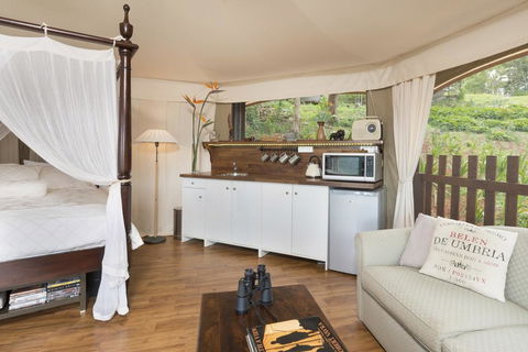 Clouds Safari - Accommodation Mount Tamborine 1