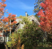 Cloudsong Chalet 4 - Close to the village centre - Accommodation Mount Tamborine