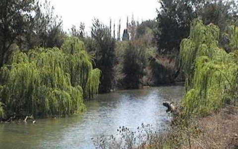 Colonial Inn Motel - Accommodation Mount Tamborine 3