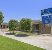 Comfort Inn May Park - Accommodation Mount Tamborine