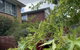 Comfortable Homestay - thumb 1