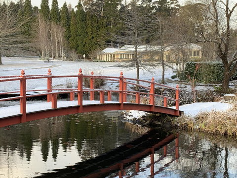 COOKS HOUSE - Accommodation Mount Tamborine 0