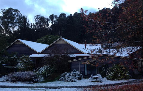 Crossways Country Inn - Accommodation Mount Tamborine 3