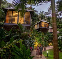 Daintree Ecolodge - Accommodation Mount Tamborine