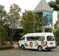 Daintree Wild Bed  Breakfast - Accommodation Mount Tamborine