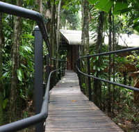 Daintree Wilderness Lodge - Accommodation Mount Tamborine