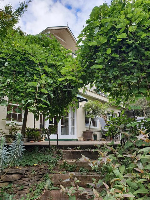 Davaar Hideaway Leura - Accommodation Mount Tamborine 0