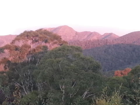 Day Dream Cottage - Accommodation Mount Tamborine 2
