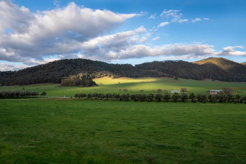 Dreaming Of The Buckland - Accommodation Mount Tamborine 3