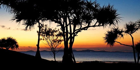 Driftwood Motel And Holiday Units - Accommodation Mount Tamborine 2