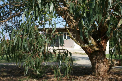 Driftwood Villas - Accommodation Mount Tamborine 3