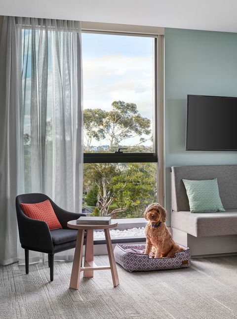 Element Melbourne Richmond - Accommodation Mount Tamborine 3