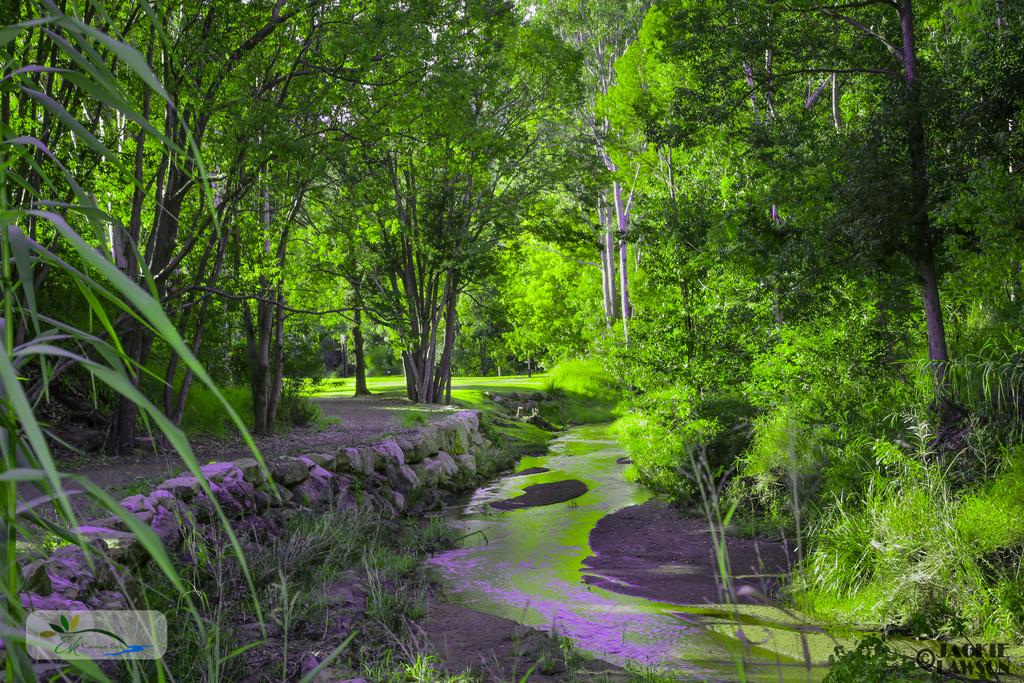 Glen Esk QLD Accommodation Mount Tamborine