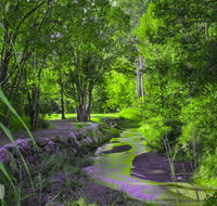 Esk Caravan Park  Rail Trail Motel - Accommodation Mount Tamborine