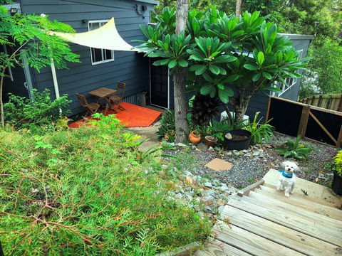 Eumundi Cottage In Town - Accommodation Mount Tamborine 2