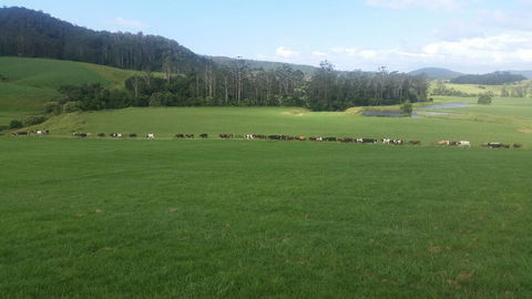 Farm Golf - Accommodation Mount Tamborine 2