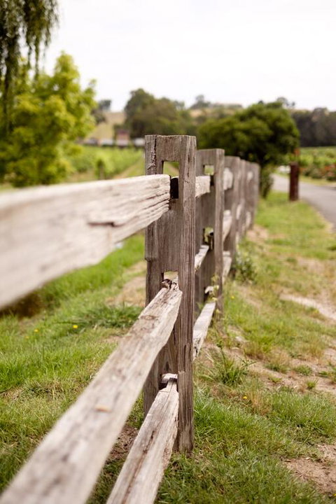 Fergusson Winery Homestead Accomodation - Accommodation Mount Tamborine 3