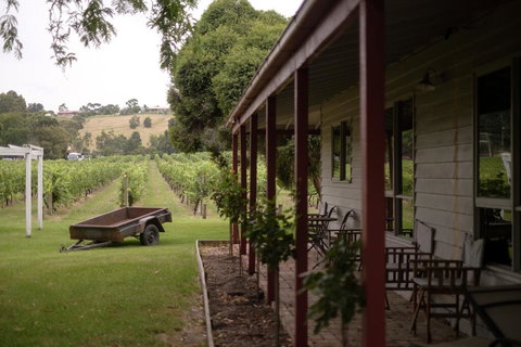 Fergusson Winery Homestead Accomodation - Accommodation Mount Tamborine 0