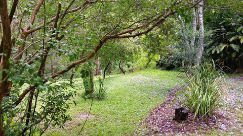 Forest View Bungalow - Accommodation Mount Tamborine 1