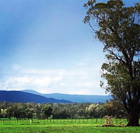 Fourjay Farmstay - Accommodation Mount Tamborine