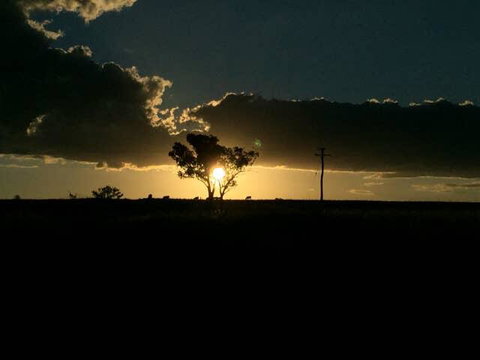 Fourjay Farmstay - Accommodation Mount Tamborine 2