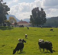 Glenmurray - Country farm stay - Accommodation Mount Tamborine