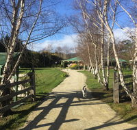 Green Gables BB - Accommodation Mount Tamborine