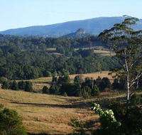 Grey Gum Lodge - Accommodation Mount Tamborine