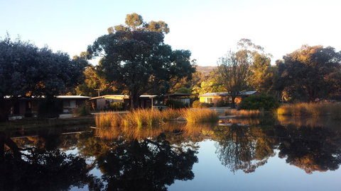 Halls Haven Resort - Accommodation Mount Tamborine 1