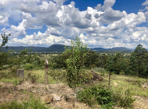 Hartley Hill Top Views - Accommodation Mount Tamborine 0