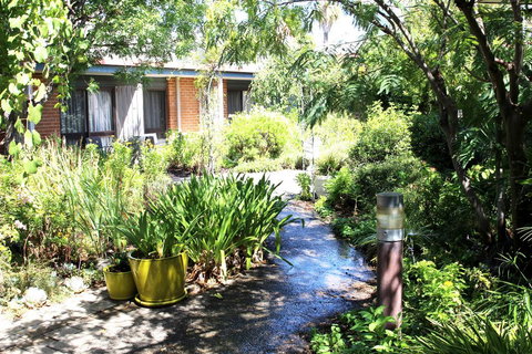 Henry's Quirindi - Accommodation Mount Tamborine 2
