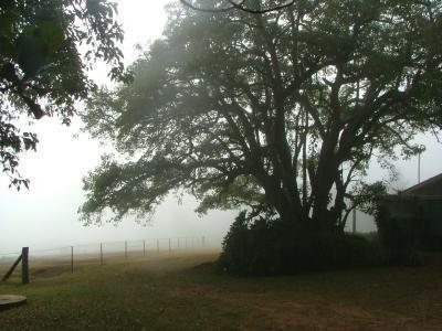 Hillview Cottages - Accommodation Mount Tamborine 3