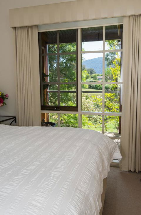 Hollyhock - Accommodation Mount Tamborine 3