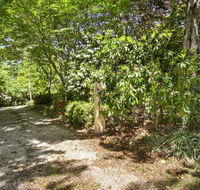 Jalscene - Accommodation Mount Tamborine