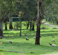 JAN'S ART STUDIO AT ASHBY RISE - Accommodation Mount Tamborine