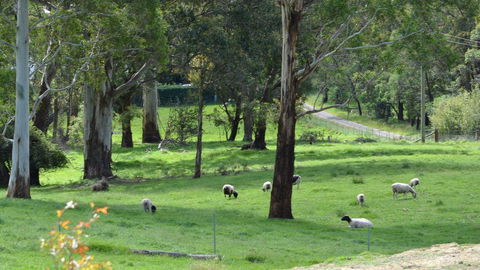 JAN'S ART STUDIO AT ASHBY RISE - Accommodation Mount Tamborine 0
