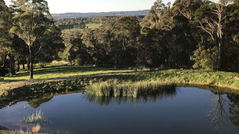 JAN'S ART STUDIO AT ASHBY RISE - Accommodation Mount Tamborine 1