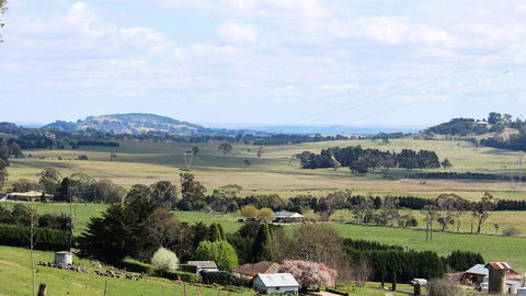 JAN'S ART STUDIO AT ASHBY RISE - Accommodation Mount Tamborine 2