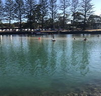 Jaspers Apartments - Accommodation Mount Tamborine