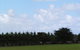 Karingal Homestead B&B - thumb 0