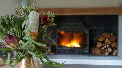 KOALA GULLY - Accommodation Mount Tamborine 0