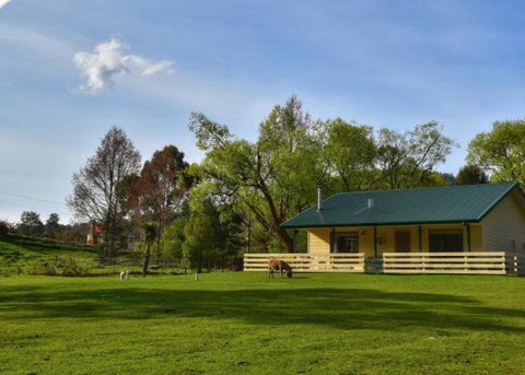 Kymmik Cottage - Accommodation Mount Tamborine 0