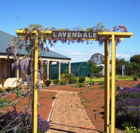 Lavendale Farmstay and Cottages York - Accommodation Mount Tamborine