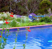 Lemonade Creek Cottages - Accommodation Mount Tamborine