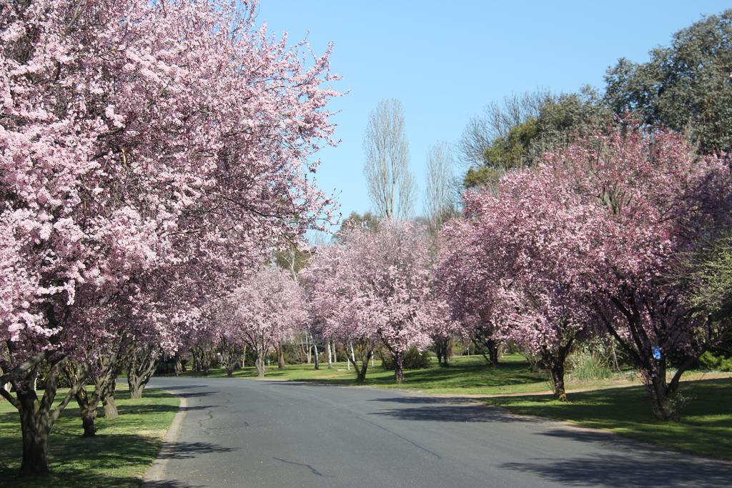 Kelso NSW Accommodation Mount Tamborine