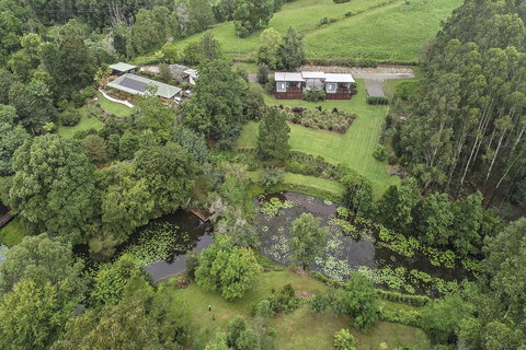 Lilypad Luxury Cabins - Accommodation Mount Tamborine 3